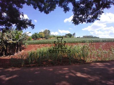 Sítio, 1 quarto, 12 hectares - Foto 2