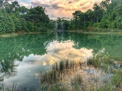 Chácara, 1 quarto - Foto 3