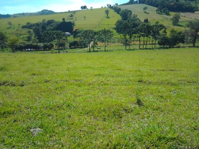 Chácara, 1 quarto, 242 m² - Foto 1
