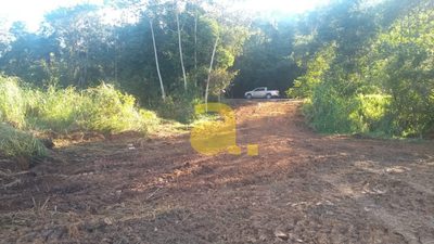 Terreno, 2 hectares - Foto 4