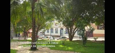 Fazenda, 324 hectares - Foto 3