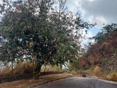Terreno, 384 m² - Foto 4