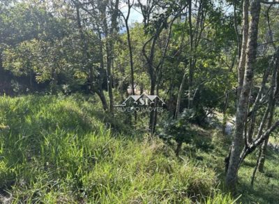 Terreno, 729 m² - Foto 2