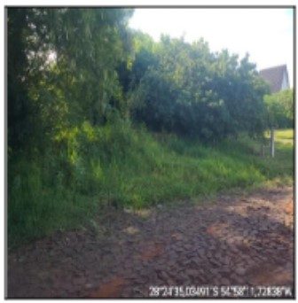 Terreno, 50 m² - Foto 1