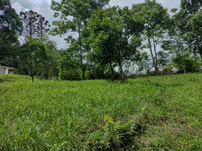 Terreno, 70 hectares - Foto 4