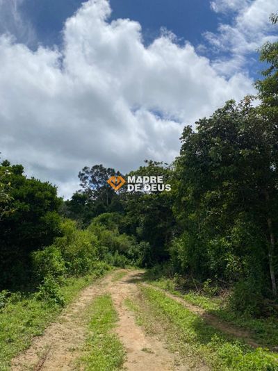 Sítio, 3 quartos, 2 hectares - Foto 4