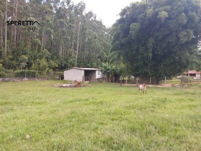 Chácara, 3 quartos - Foto 5