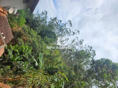 Terreno, 1311 m² - Foto 5