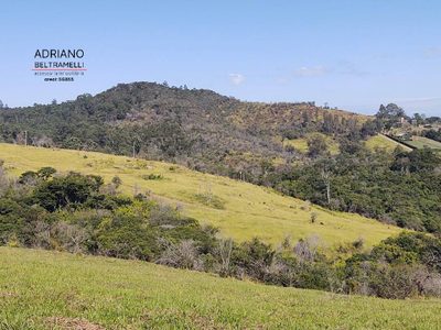 Terreno, 4 hectares - Foto 2