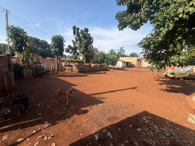 Fazenda, 1000 m² - Foto 3