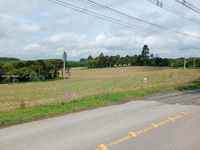 Chácara, 2 hectares - Foto 3