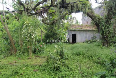 Terreno, 7400 m² - Foto 5