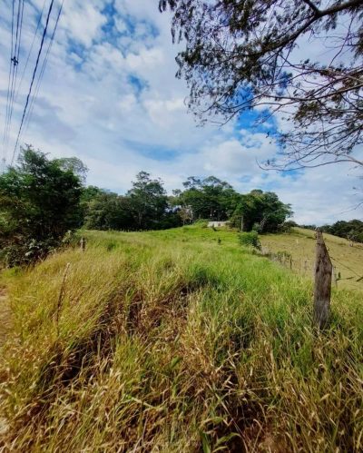 Terreno - Foto 2