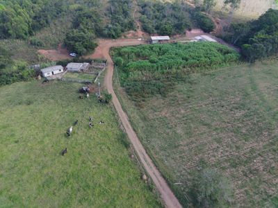 Sítio, 2 quartos, 330 m² - Foto 2