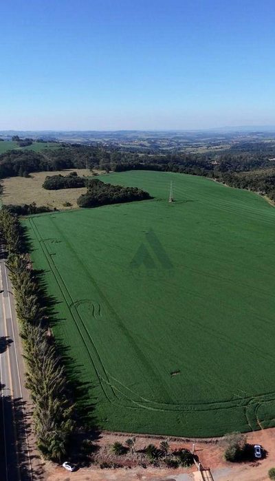 Fazenda, 90 hectares - Foto 2