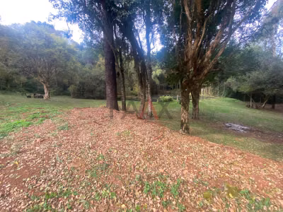Chácara - Foto 4