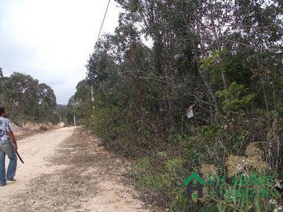 Terreno, 2500 m² - Foto 3