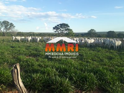 Fazenda, 350 m² - Foto 1