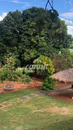 Sítio, 5 m² - Foto 2