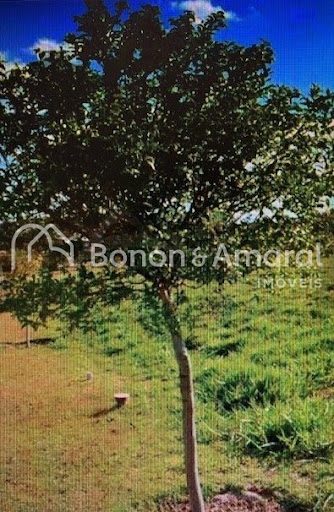 Terreno, 12 m² - Foto 1