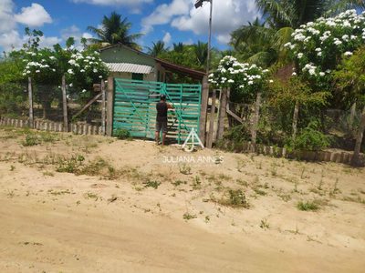 Chácara, 1 quarto, 860 m² - Foto 3