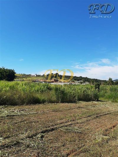 Terreno, 8 hectares - Foto 5