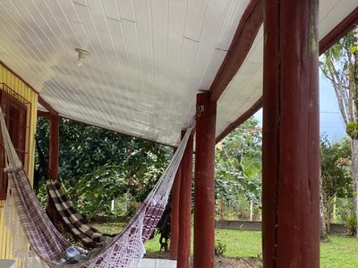 Chácara, 3 hectares - Foto 4