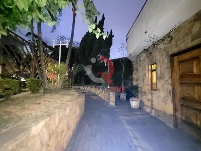 Loja-Salão, 235 m² - Foto 4