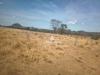 Fazenda, 2500 hectares - Foto 5