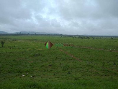 Terreno, 1 hectares - Foto 4