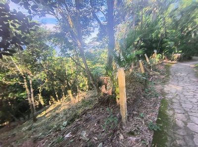 Terreno - Foto 3
