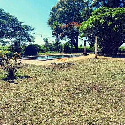 Fazenda, 237 hectares - Foto 3
