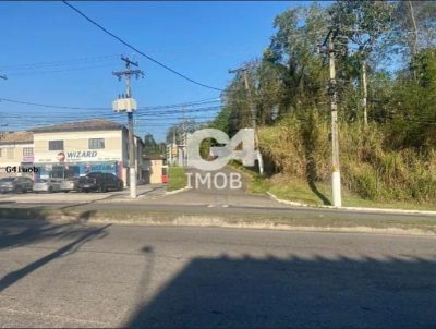 Terreno, 2 hectares - Foto 4