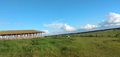 Fazenda, 600 m² - Foto 4