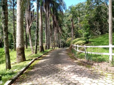 Fazenda, 10000 m² - Foto 4