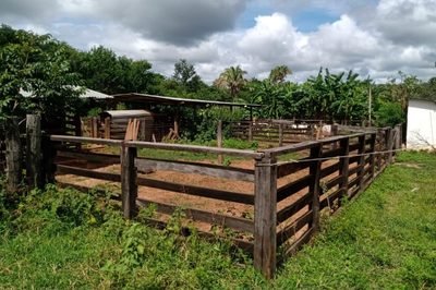 Fazenda, 2350 hectares - Foto 5
