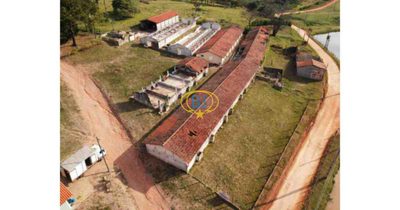 Sítio, 4 quartos, 2920 m² - Foto 4
