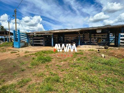 Fazenda, 79 hectares - Foto 3