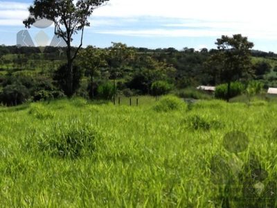 Terreno, 8 hectares - Foto 2