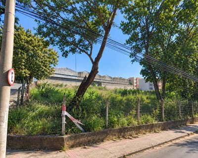 Terreno, 1000 m² - Foto 2