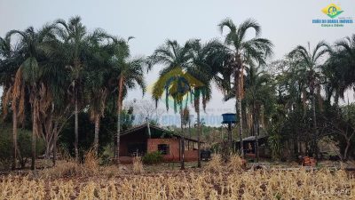 Chácara, 2 quartos - Foto 4