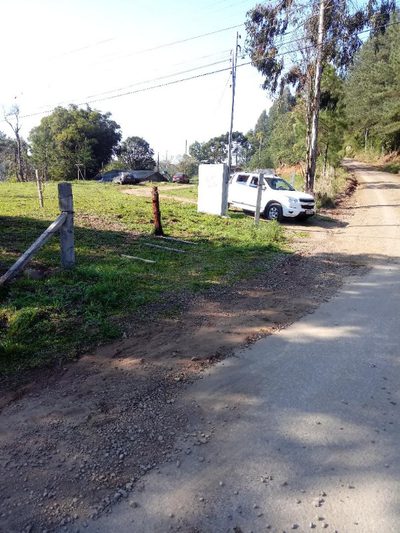 Chácara, 4 quartos, 10000 m² - Foto 4
