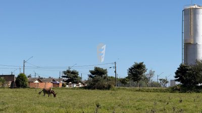 Fazenda - Foto 2