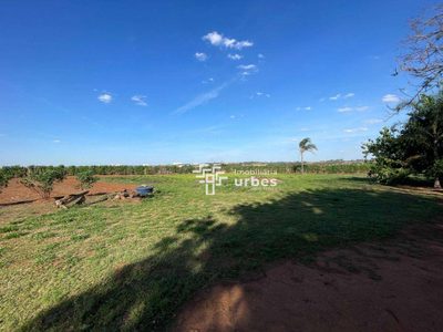 Terreno, 2 hectares - Foto 4