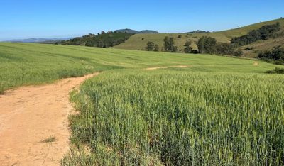 Chácara, 1 quarto, 39 hectares - Foto 4