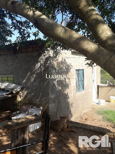 Sítio, 1 quarto, 8506 m² - Foto 1