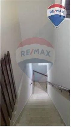 Casa, 3 quartos, 250 m² - Foto 4