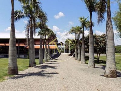 Fazenda, 48 hectares - Foto 1