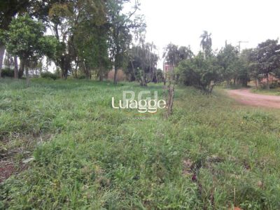 Terreno, 2278 m² - Foto 3