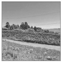 Terreno - Foto 1